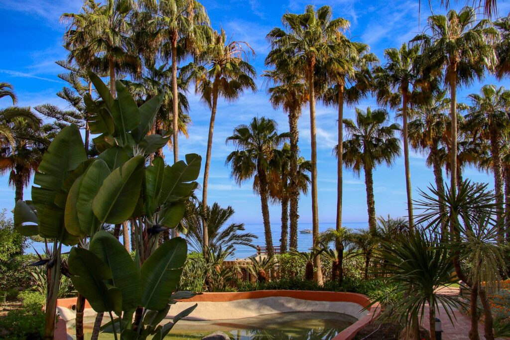 Fotografía inmobiliaria de apartamento en Las Cañas Beach