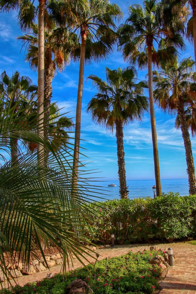 Fotografía inmobiliaria de apartamento en Las Cañas Beach
