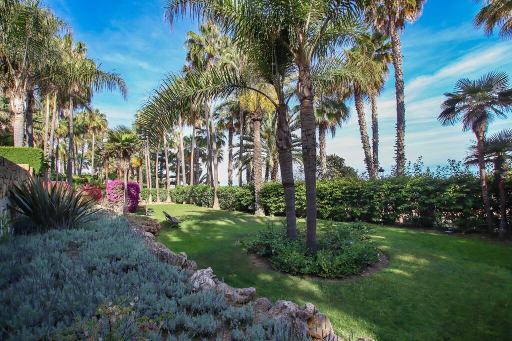 Fotografía inmobiliaria de apartamento en Las Cañas Beach
